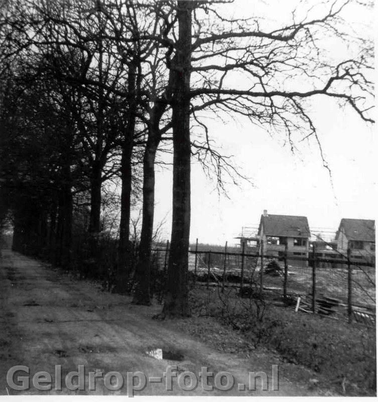 eikenlaantje 1970.jpg